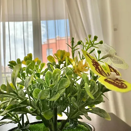 Rainbow 3 - Menada Apartment Sunny Beach