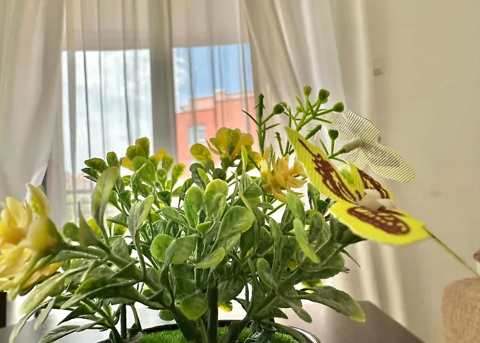 Rainbow 3 - Menada Apartamento Sunny Beach