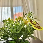 Rainbow 3 - Menada Daire Sunny Beach